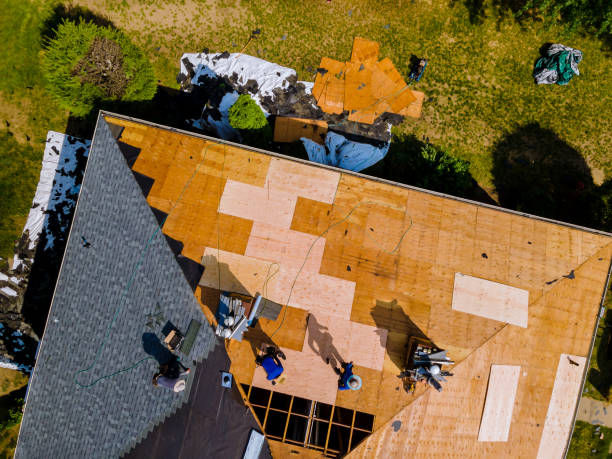 Best Flat Roof Repair Services  in Vla Grove, IL