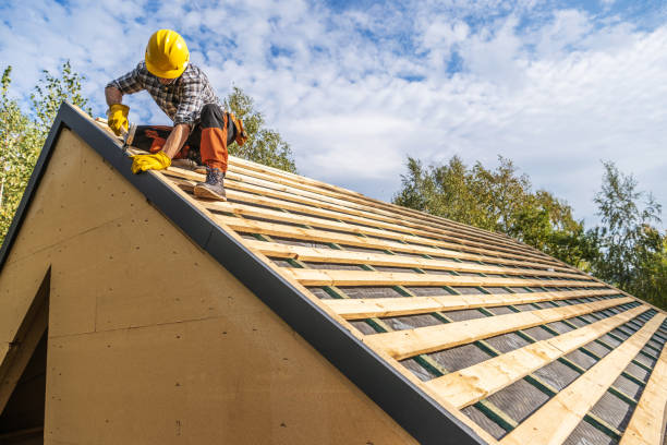 Best Roof Replacement Cost  in Vla Grove, IL
